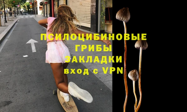 ГАЛЛЮЦИНОГЕННЫЕ ГРИБЫ Алзамай