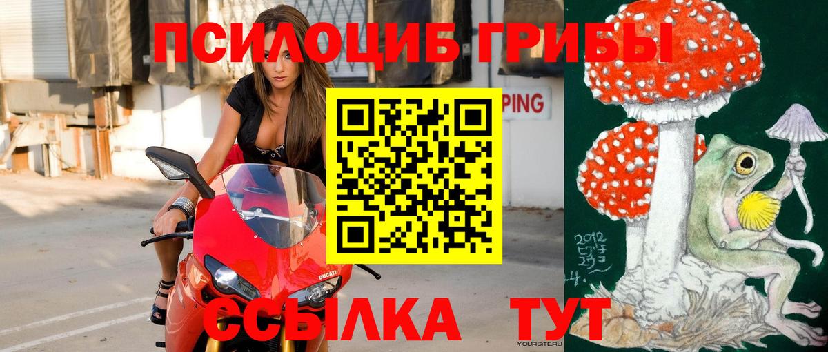 Слободской  Галлюциногенные грибы Cubensis  Вход с VPN  цена наркотик  Галлюциногенные грибы Psilocybine cubensis 