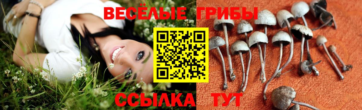 Галлюциногенные грибы прущие грибы Слободской
